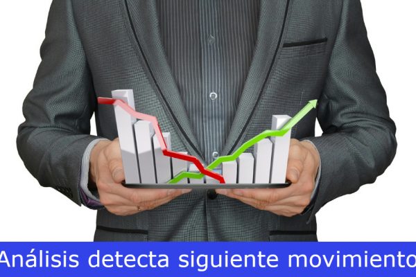 analisis del mercado